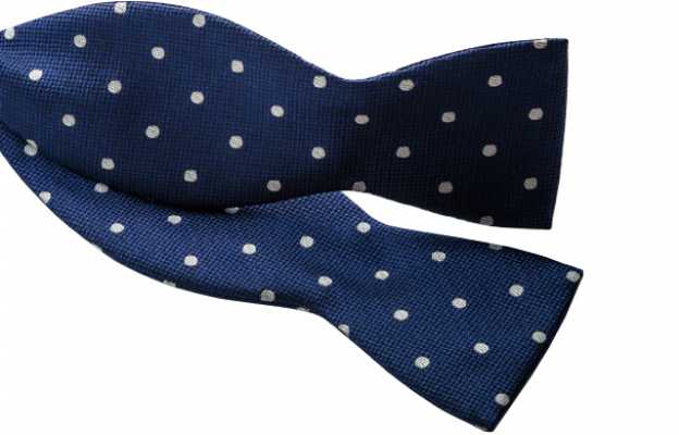 MT-602 Japanese Silk Hand-Tied Bow Tie Polka Dot Blue