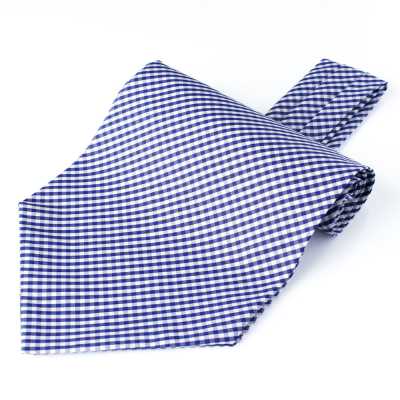 RAS-04 Ascot Tie Made With Ring Heart Fabric, Navy Blue Gingham Check