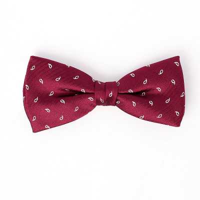 VBF-24 Bow Tie In VANNERS Fabric, Paisley Dot, Wine